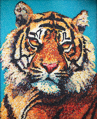 Bengal Tiger